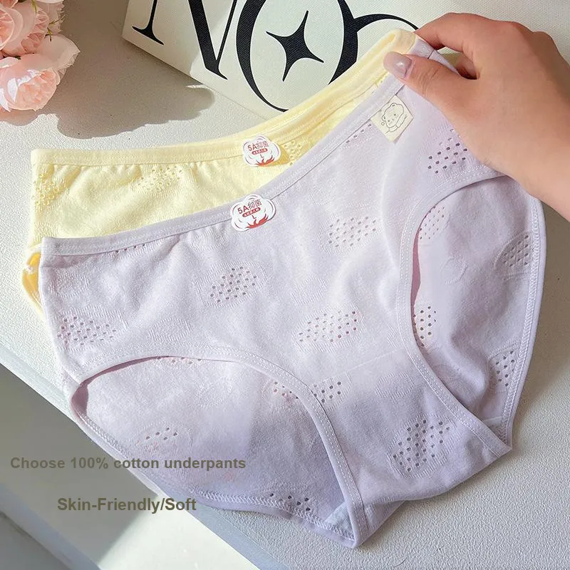 Herbal Primer Underpants Women's 4 Pack-12