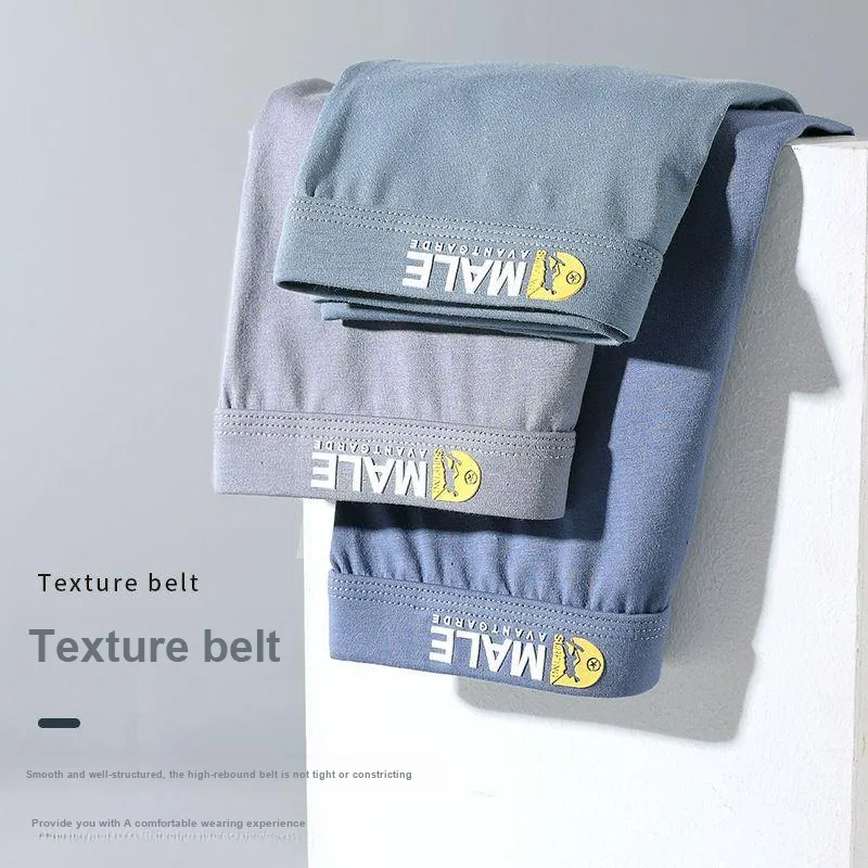 XISHE Underpants Men's Combo Set-5