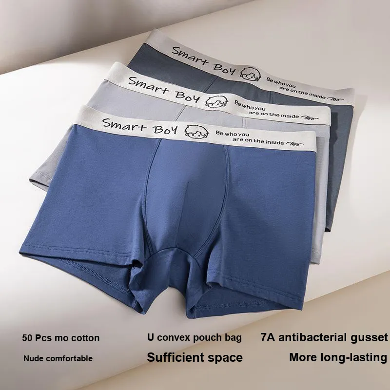 Inside The Orange Underpants Men's Box 3 Pack-2