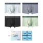 Cold Mist Gray+Dark Dusty Gray+Dark Night Black+Pale Cyan Green