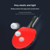 [Professional]1 Long Handle+1 Short Handle+Original Thickened Racket Bag+3 Pcs Competition Exclusive Balls