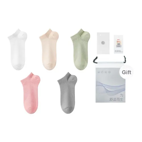Warrior Ankle Socks Women's 5 Pack