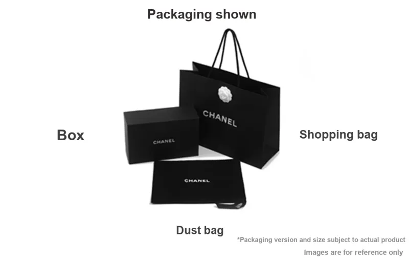 CHANEL 19Bag Calfskin Evening Bag, Round Bag, Clutch, Shoulder Bag, Crossbody Bag Women's Silver-4