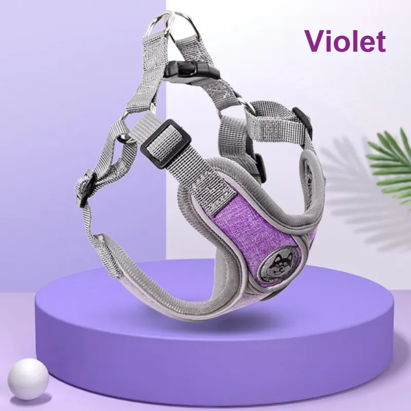 Kimpets Leashes-1