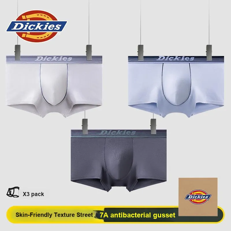 Dickies Underpants Men's Box 3 Pack-11