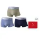 Fruit Green-Ice Blue-Navy Blue