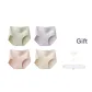 4F Classic Apricot+Oil Paintings Pink+Hazy Green+Soft Purple