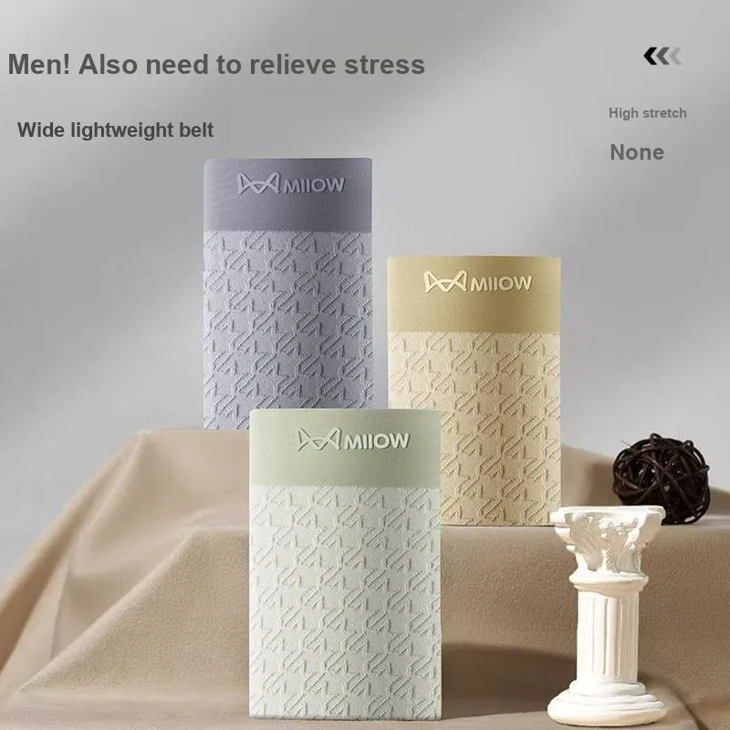 MIIOW Underpants Men's Box 3 Pack-21