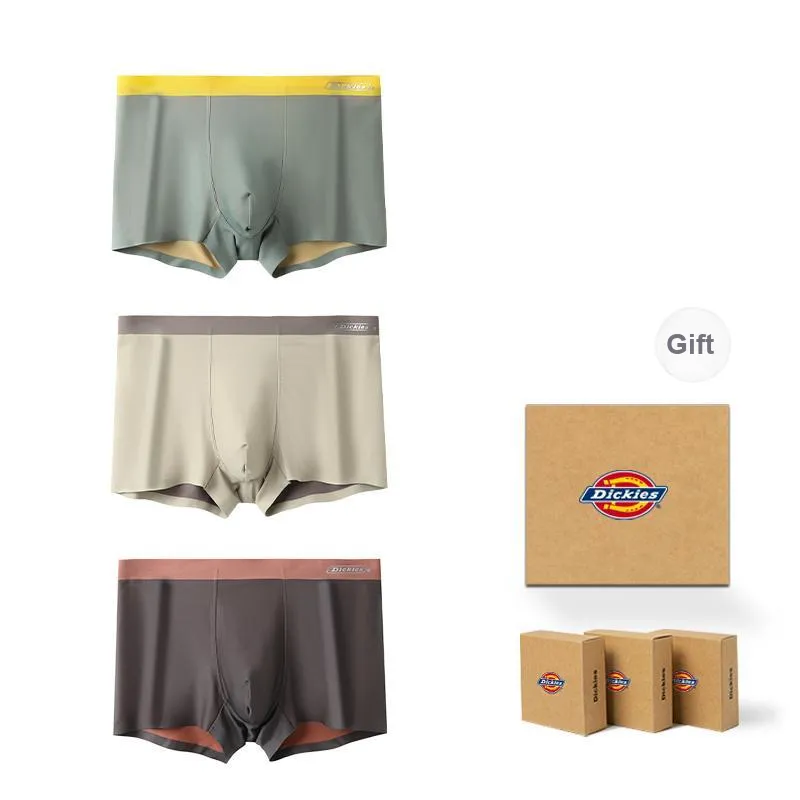 Dickies Underpants Men's Box 3 Pack-0
