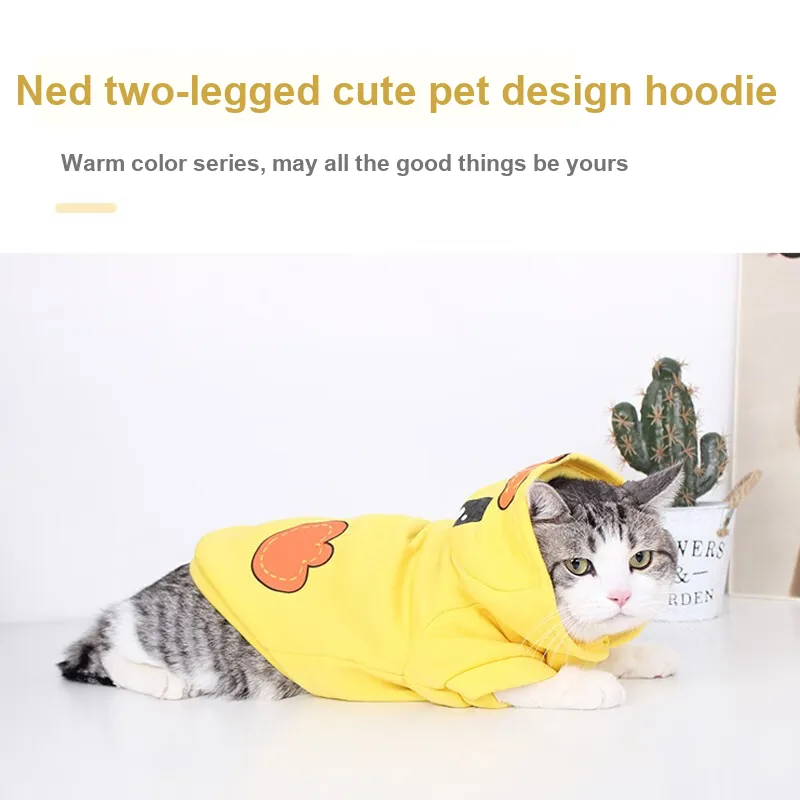 Pampering Pet Clothing-17