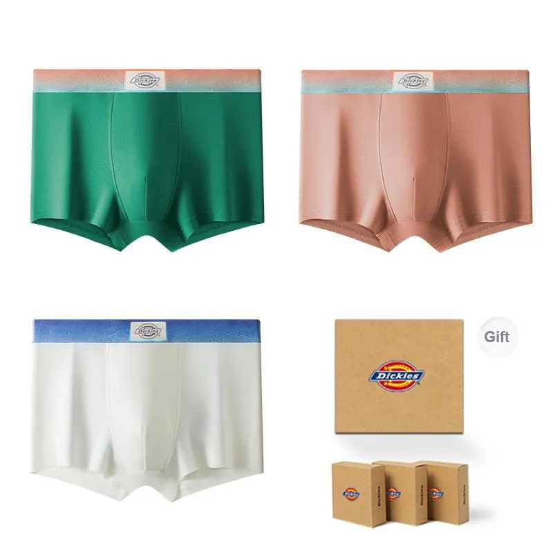 Dickies Underpants Men's Gift Box Combination-62