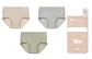 3 Pack = Wheat Apricot+Star Gray+Wheat Green