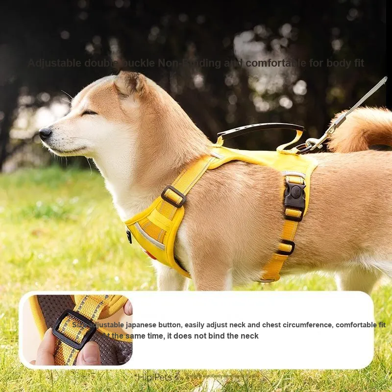 Hippie dogs Leashes-3