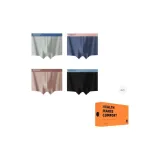 4 Pack (Combination D)