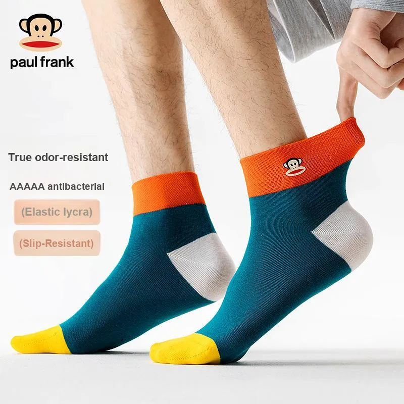 PAUL FRANK Mid Calf Socks Men's Box 5 Pack-35