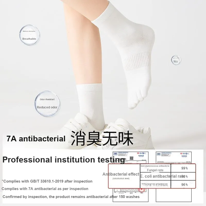 B&C.Room Mid Calf Socks Women's 4 Pack-6