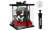 Rose Box+Pump
