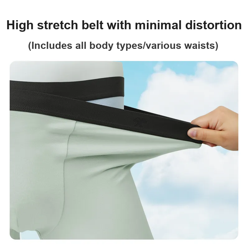 BIOSERICA ERA Cotton Underpants Men's 6 Pack-2