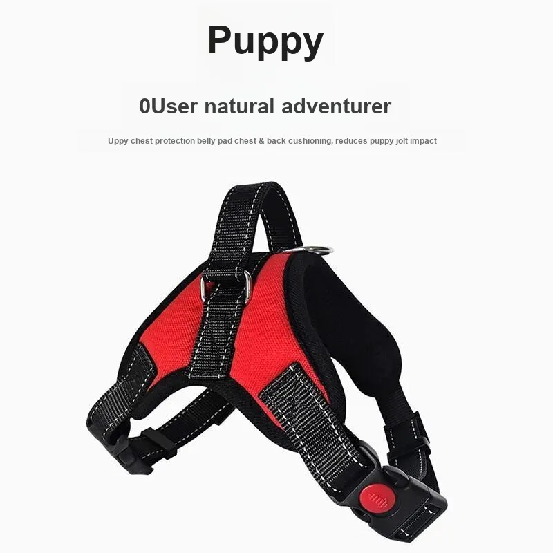 Pampering Leashes-10