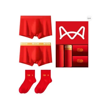 MIIOW Underwear Gift Box Men's 2 Pack+2 Pack Socks