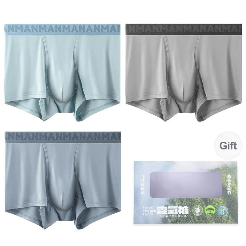 FARO Underpants Men's Gift Box Combination-26