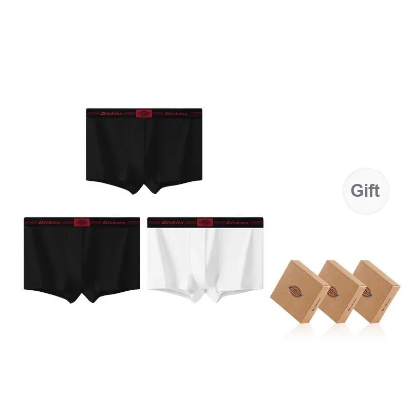 Dickies Underpants Men's Combo Set-35