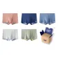 Charcoal Orange+Dark Blue+Light Blue+White Gray+Light Green (Box 5 Pack)