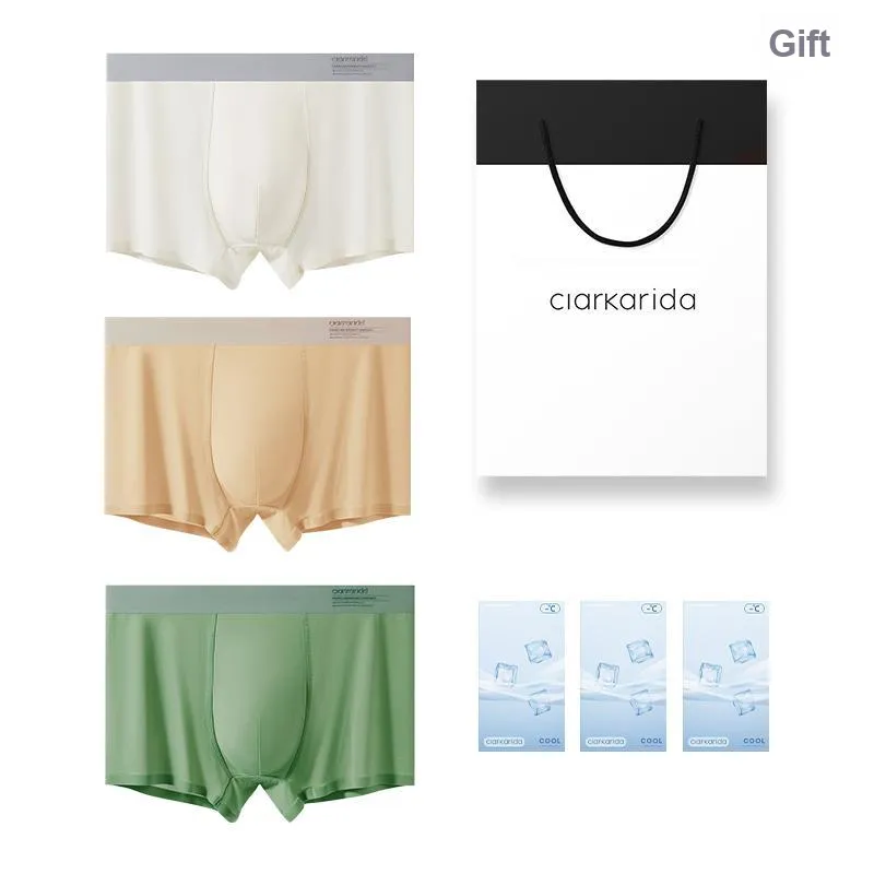 Clarkarida Underpants Men's 3 Pack-12