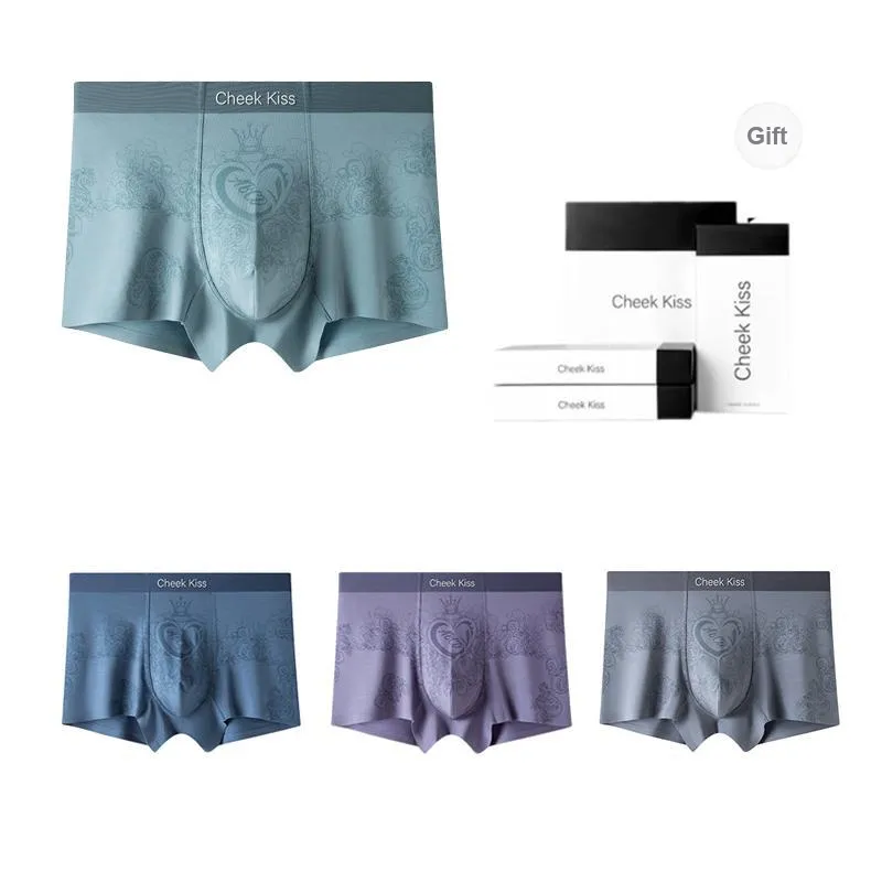 Cheekkiss Underwear Gift Boxes Men's 3 Pack-42