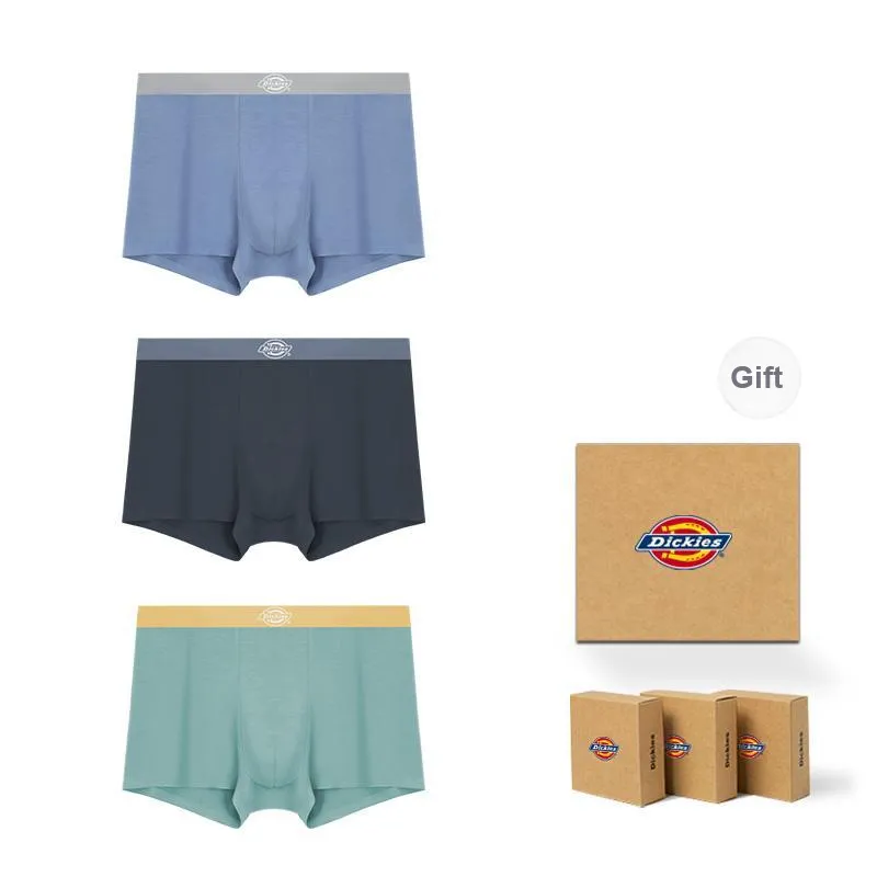 Dickies Underpants Men's Box 3 Pack-42