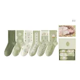 선물 포장 6팩 (콤보 5)
