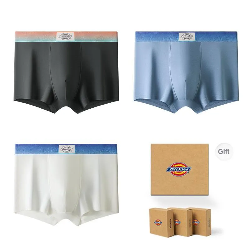 Dickies Underpants Men's Gift Box Combination-6