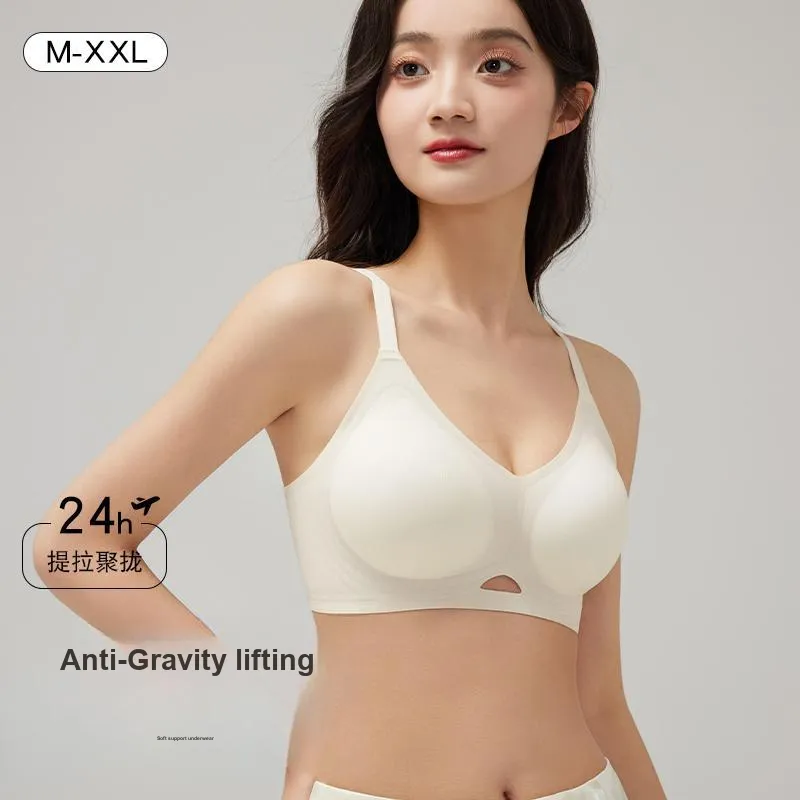 David Women's Bras-1
