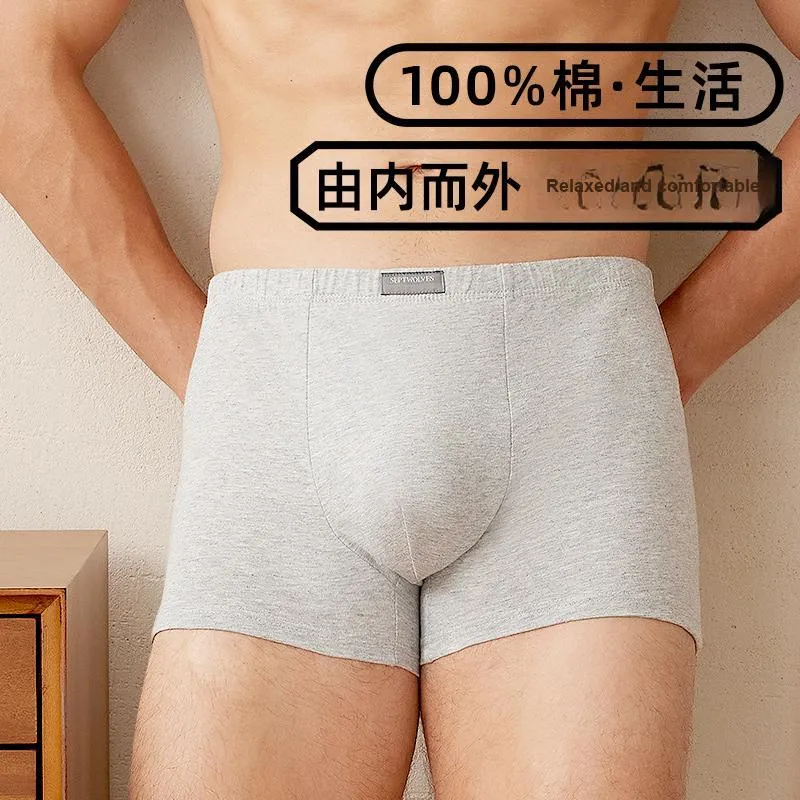 SEPTWOLVES Underwear Gift Boxes Men's 6 Pack-7