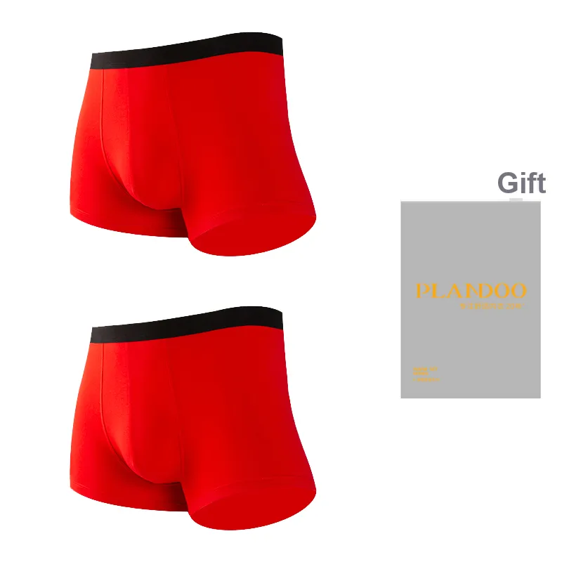 PLANDOO Underpants Men's Gift Box Of 2 Strips-5