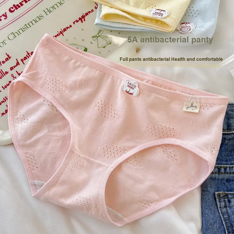 Herbal Primer Underpants Women's 4 Pack-1