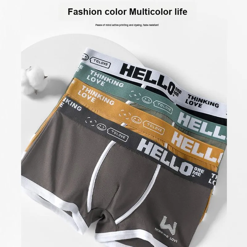 MADALLO Underpants Men's Combo Set-4