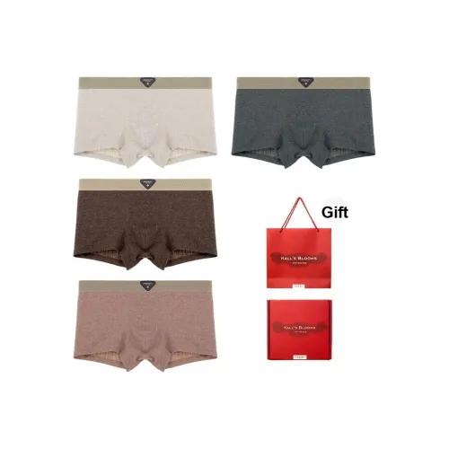 Maiden House Нижнее белье Подарочная коробка Мужской 4 шт