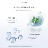 2박스 (50정/박스)