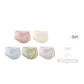 5C Champagne Skin+Sky Blue+Misty Green+Oil Paintings Pink+Soft Purple