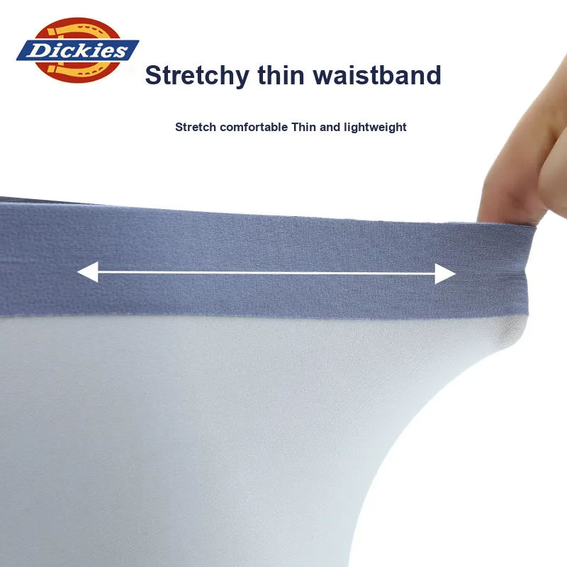 Dickies Underpants Men's Box 3 Pack-2