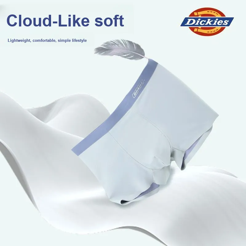 Dickies Underpants Men's Box 3 Pack-3