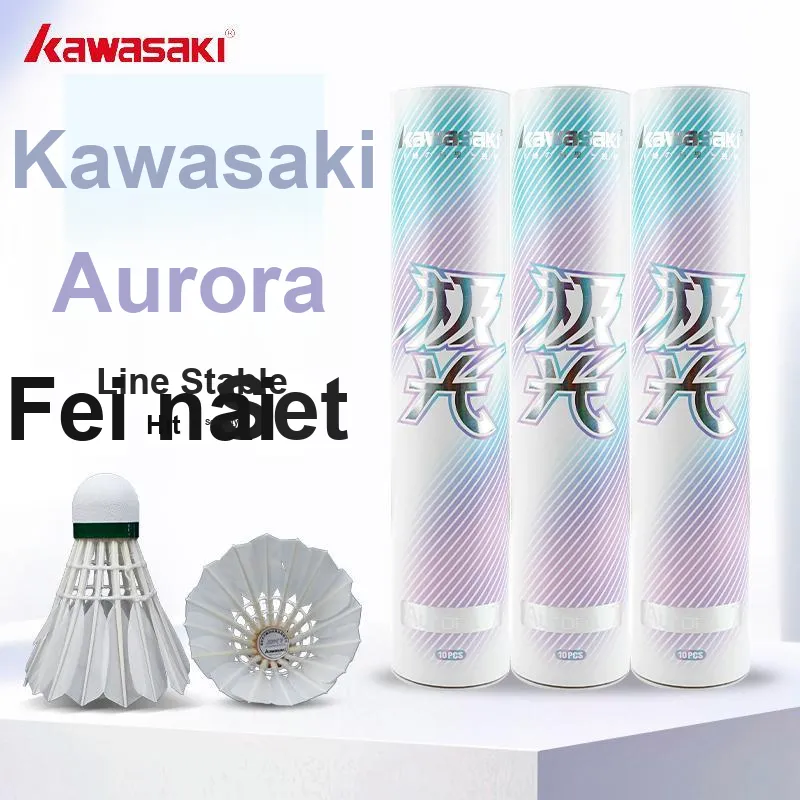 Kawasaki Aurora Shuttlecocks-1