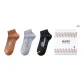 Box 3 Pack (Chestnut Brown+Mist Gray+Twilight Black)