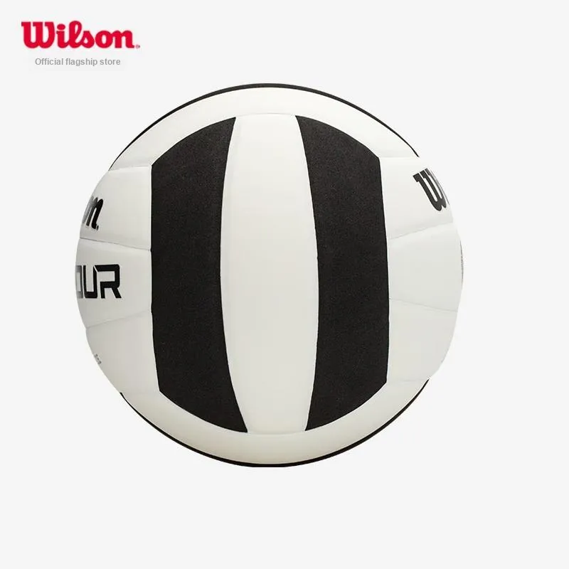 Wilson Volleyball-2