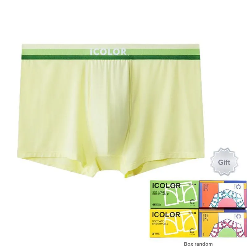 Icolor Men Underpants-4