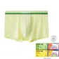 Gardenia Yellow
