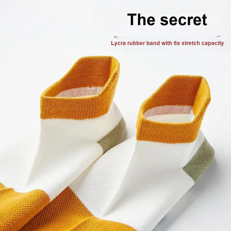 Lanza Men Socks-20