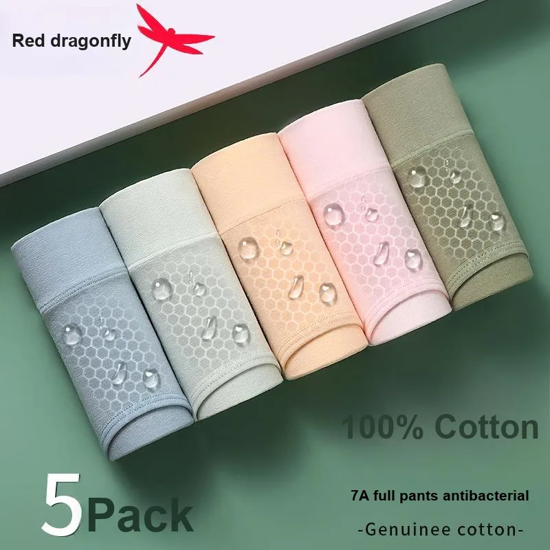 RED DRAGONFLY Cotton Panties Women's 3 Pack Gift Box Set-1