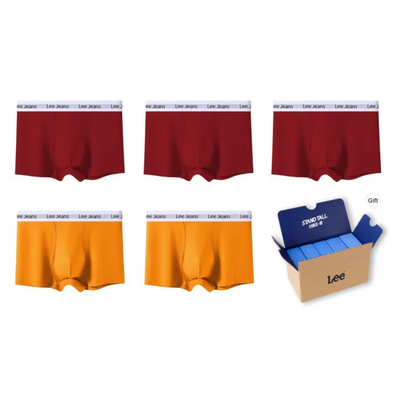 Lee Underpants Men's 5 Pack Gift Box Set-50